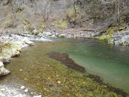 渓流ミノーイング